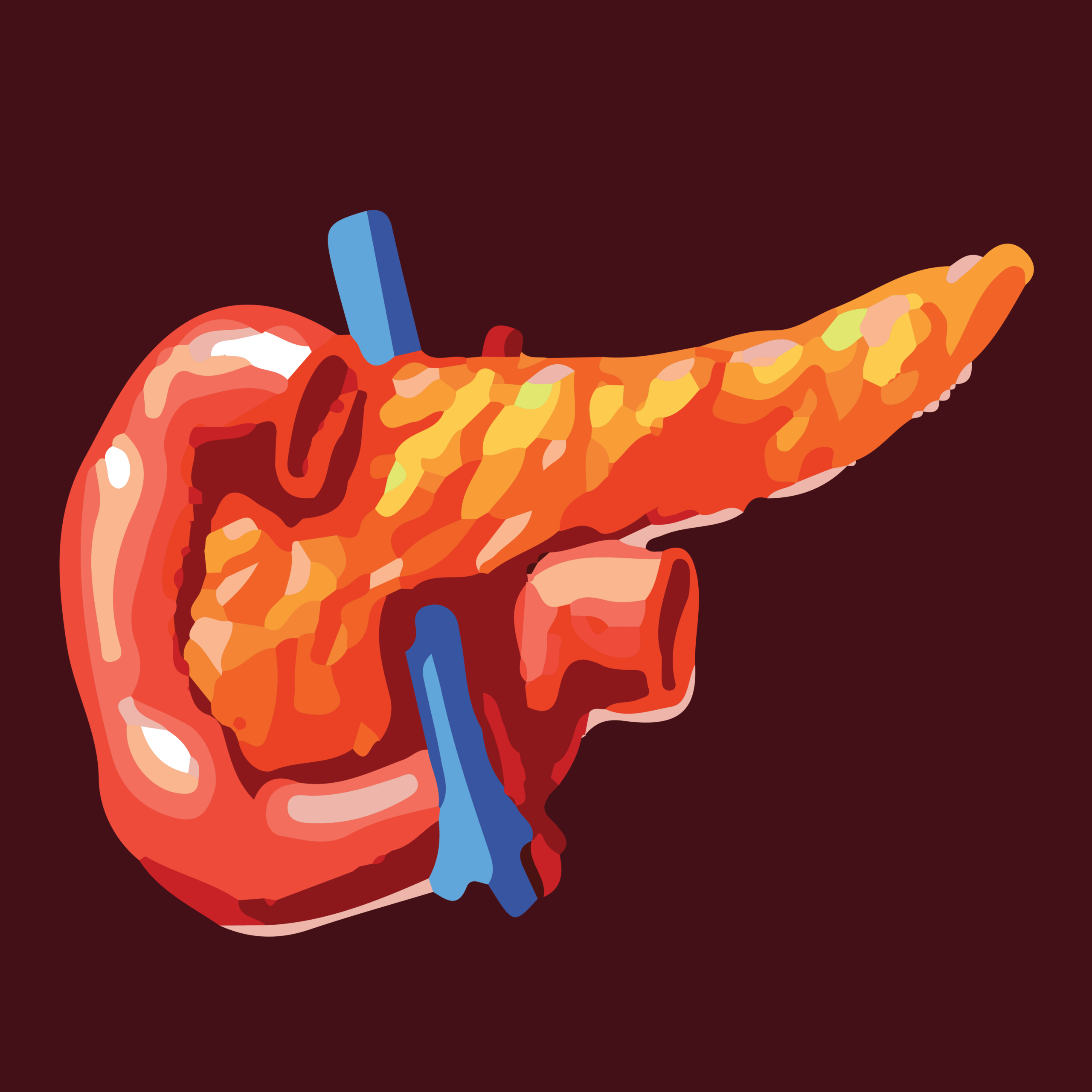 Pancreas