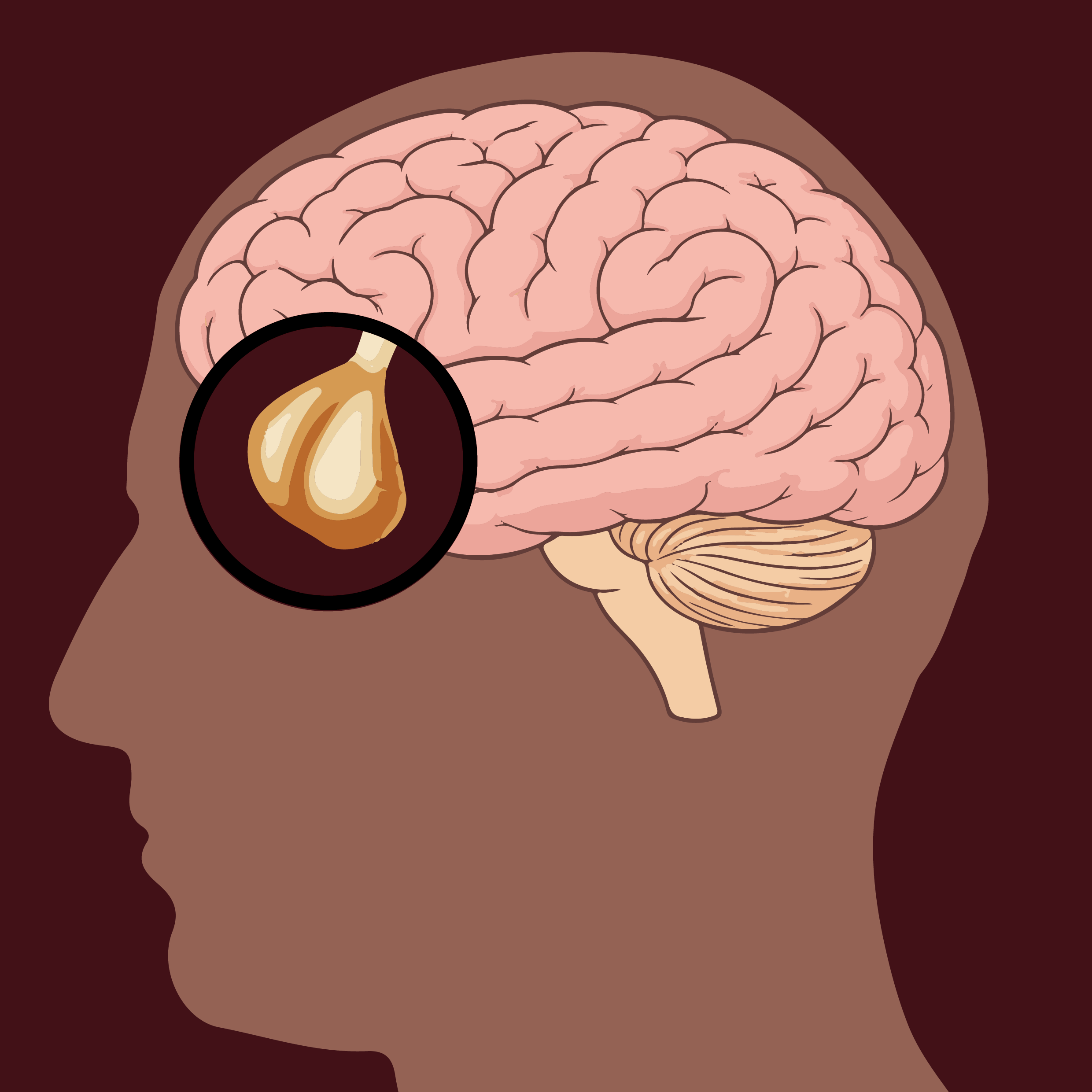 Pituitary gland